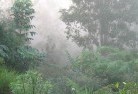 Abbeyardlandscaping-irrigation-4.jpg; ?>